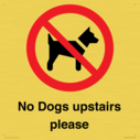 no-dogs-upstairs-please-~
